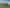 16 Neinei Place, Wharewaka