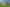 16 Neinei Place, Wharewaka