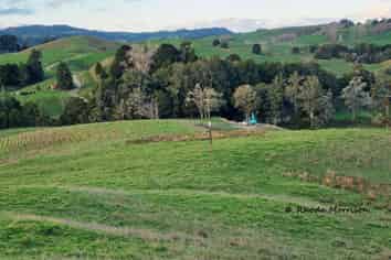 241 Golden Stairs Rd, Maungaturoto