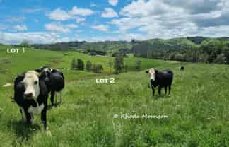  Golden Stairs Rd, Maungaturoto