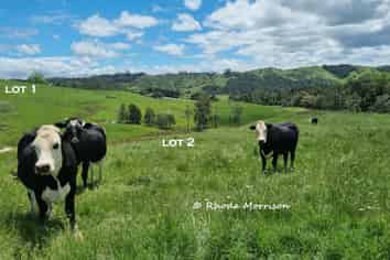  Golden Stairs Rd, Maungaturoto