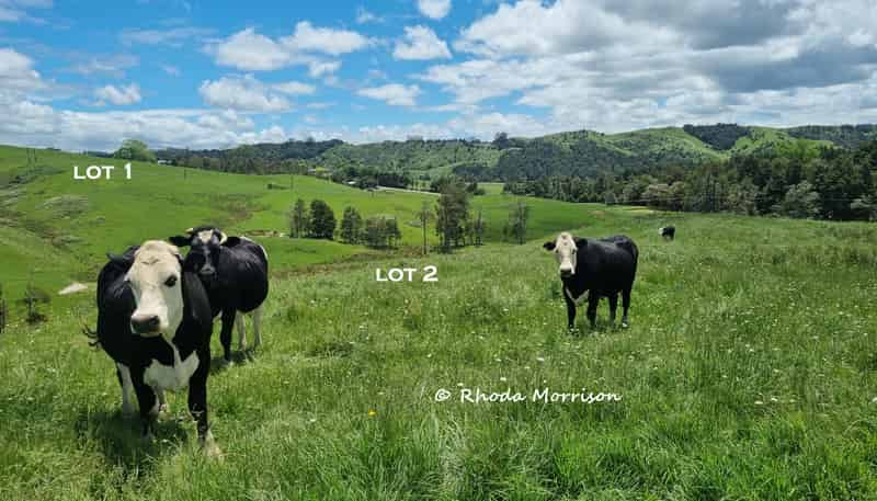  Golden Stairs Rd, Maungaturoto