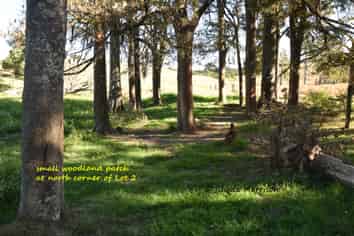  Golden Stairs Rd, Maungaturoto