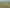 990 Kaihere Rd, Ngatea