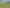 990 Kaihere Rd, Ngatea
