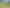 990 Kaihere Rd, Ngatea