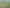 990 Kaihere Rd, Ngatea