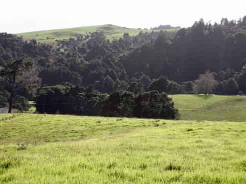 608B West Coast Road, Warkworth