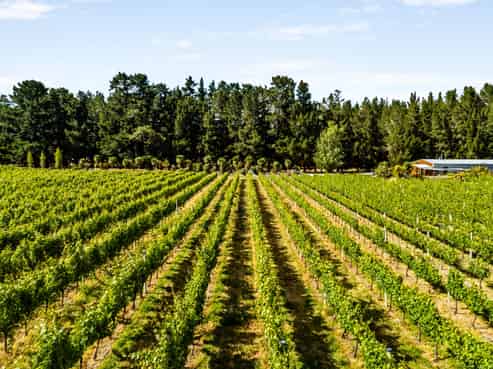 413 Maori Point Road, Tarras