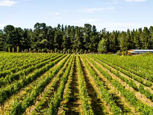 413 Maori Point Road, Tarras