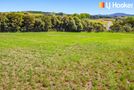 707 Settlement Road, Kaiwaka, Kaipara, Northland