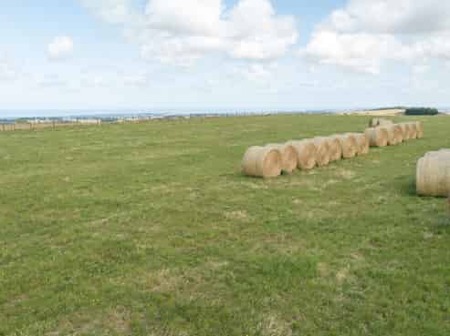 507 Rangitatau West Road, Waitotara