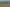 Unlock This Blank Canvas Opportunity