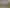 Unlock This Blank Canvas Opportunity