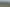 Unlock This Blank Canvas Opportunity