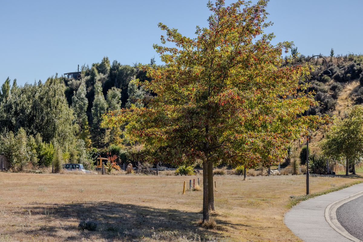 Prime One Acre Section, Ready to Build - View 6