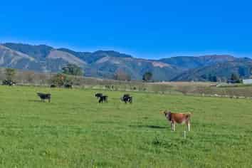  Kennards Road, Waimate