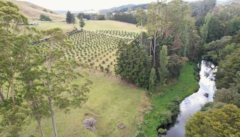 4641 Mangakahia Road, Awarua