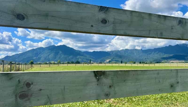  King Road, Te Aroha