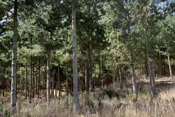 1387 Santoft Road, Bulls