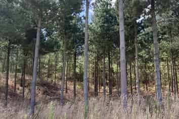 1387 Santoft Road, Bulls