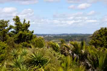 102 Taylor Road, Waimauku