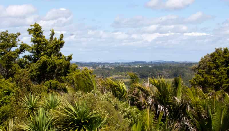 102 Taylor Road, Waimauku