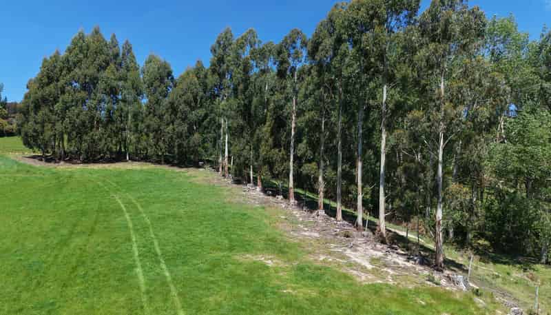 6 Braeside, East Taieri