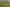 39F Morgan Street, Methven