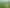 Joint Venture - Already Zoned Residential Land at Scale