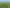 Joint Venture - Already Zoned Residential Land at Scale