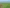 Joint Venture - Already Zoned Residential Land at Scale