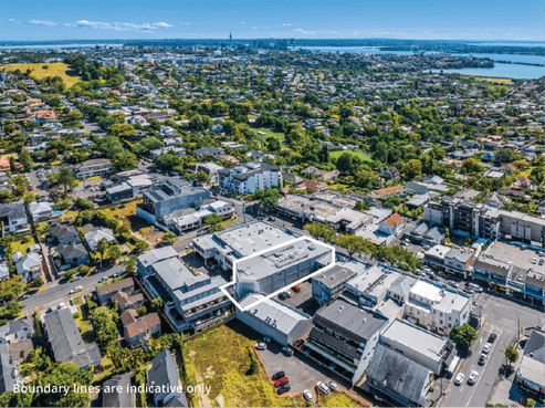 Remuera's Premier Investment