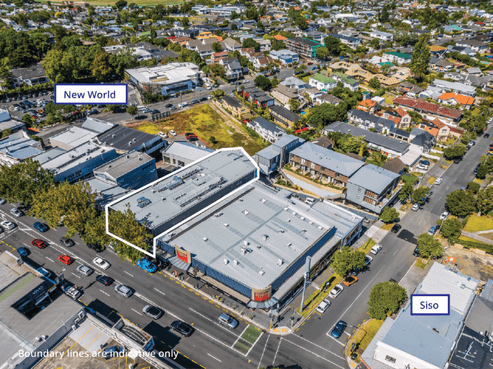 Remuera's Premier Investment