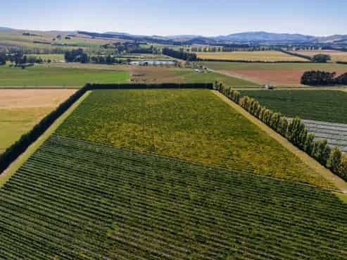 253 Mackenzies Road, Waipara