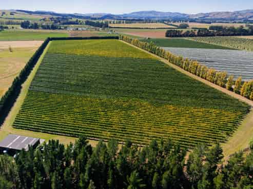 253 Mackenzies Road, Waipara