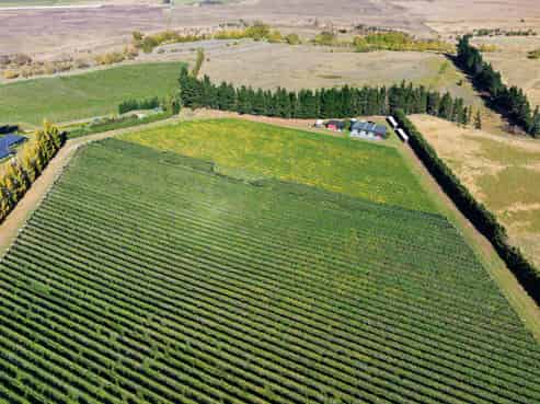 253 Mackenzies Road, Waipara