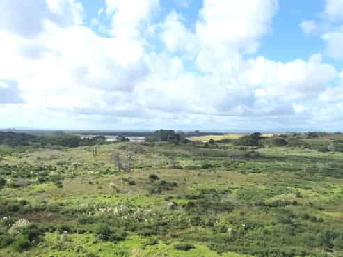  State Highway 1, Waiharara