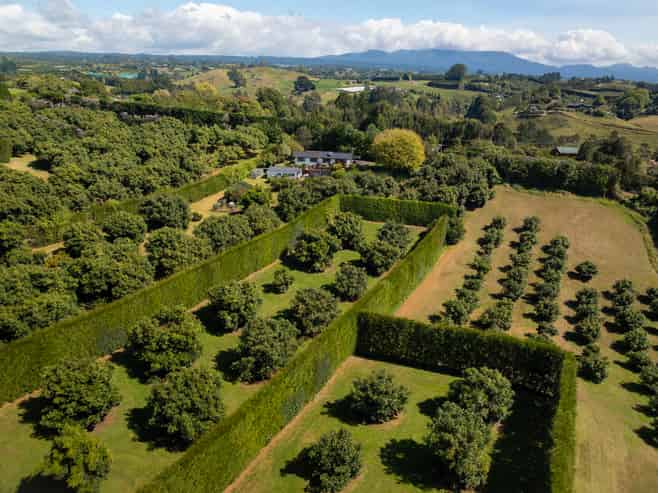 313 Youngson Road, Whakamarama
