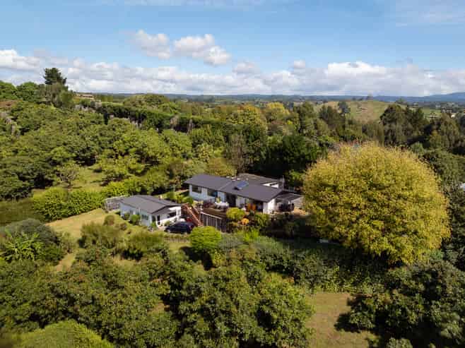 313 Youngson Road, Whakamarama