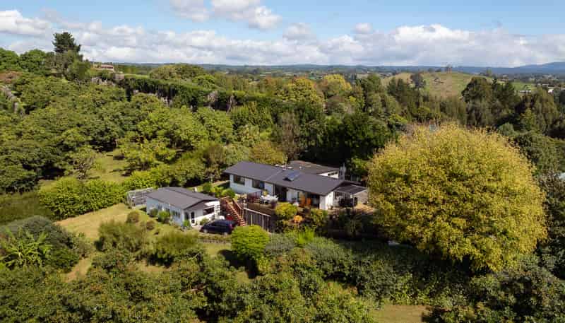 313 Youngson Road, Whakamarama