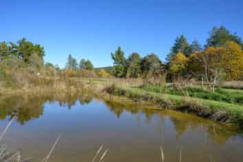 542 Tadmor-Glenhope Road, Tadmor