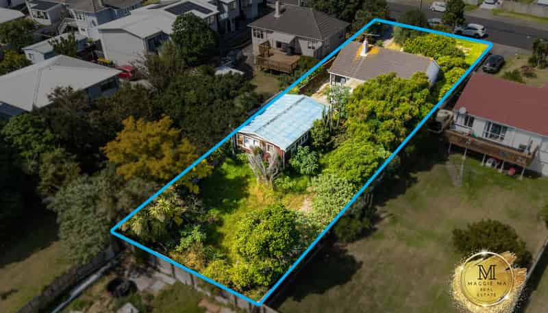15 Court Crescent, Panmure