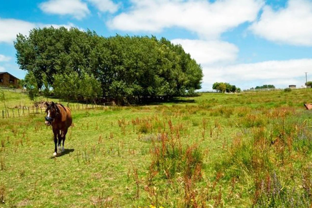 Premium Lifestyle & Development Opportunity - Ansicht 6