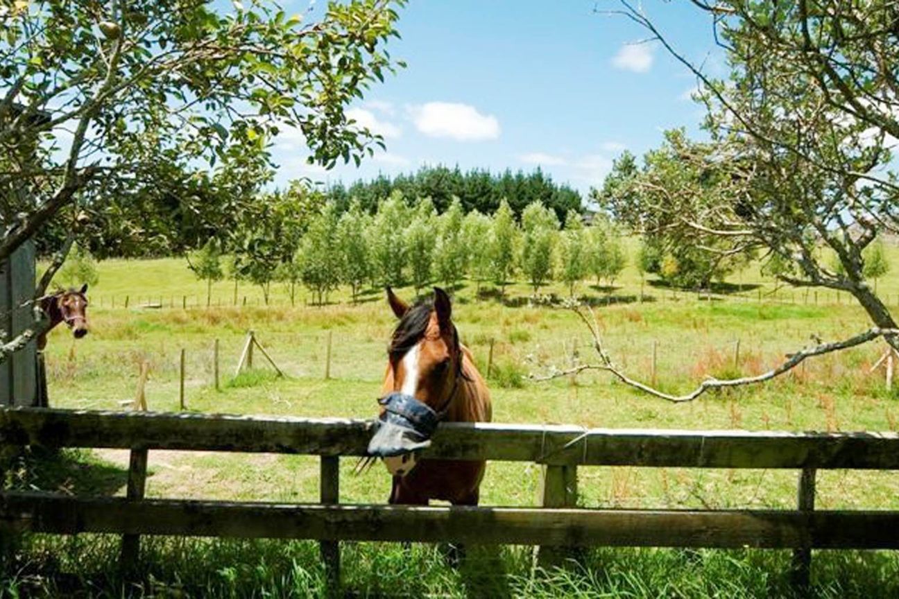 Premium Lifestyle & Development Opportunity - Ansicht 5