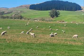  Coal Pit Road, Enfield