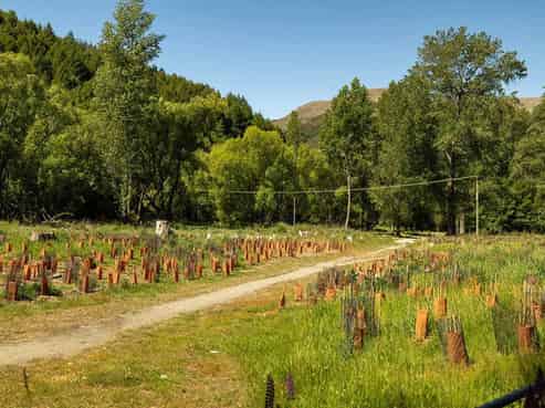  Manse Mews Sections, Arrowtown