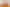 18 Weka Street, The Wood