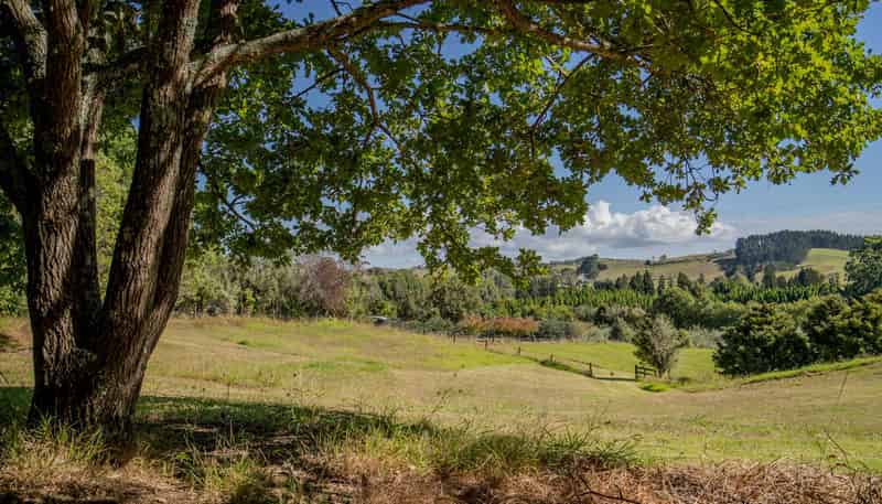 1/100 River Drive, Kerikeri