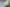 The Sanctuary | Orakei